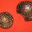 Small Bowls